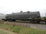 CGLX 12051
